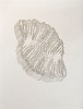 Todd Camplin, ...Wishing...
2010, Ink on paper
