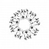 Dornith Doherty, Caper
2008-2009, Archival Pigment Print, Edition of 3