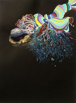 Work:&nbsp;Phenomorama No. 2