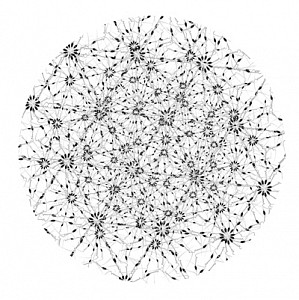 Dornith Doherty News: PRESS RELEASE: Dornith Doherty - Exchange, February 21, 2015 - Holly Johnson Gallery