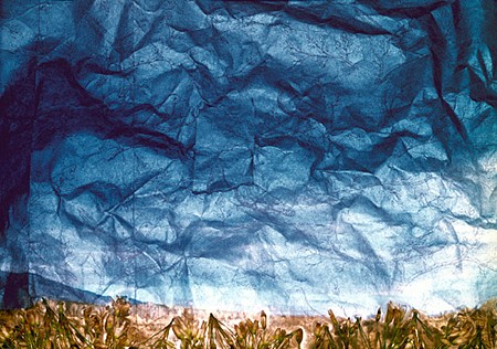 Dornith Doherty News: REVIEW: Dornith Doherty in Dallas Morning News, December 20, 2007 - Charissa N. Terranova