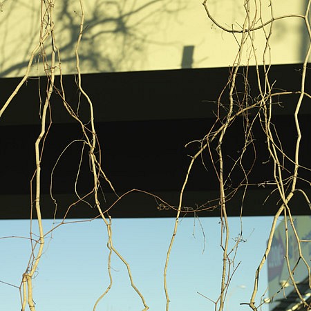 News: PRESS RELEASE: Casey Williams - Within, December  1, 2012