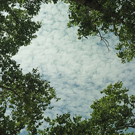 News: REVIEW: Casey Williams in ModernDallas.net, January 15, 2013 - Todd Camplin