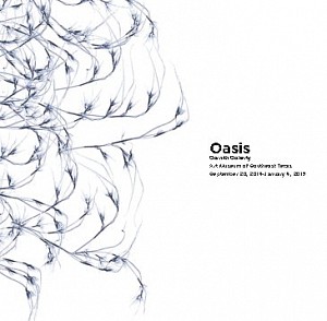 Dornith Doherty News: CATALOGUE RELEASE: Dornith Doherty at Art Museum of Southeast Texas, September 20, 2014 - Angela Kingston