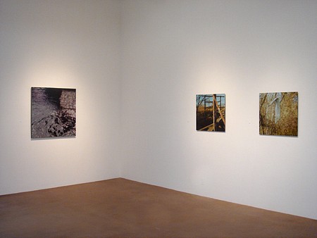 Casey Williams: Within - Installation View