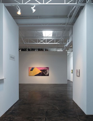 Michelle Mackey: Double Take  - Installation View