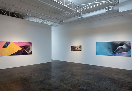 Michelle Mackey: Double Take , May 13 &ndash; Aug 19, 2017