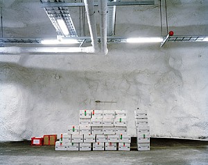 Dornith Doherty News: ARTICLE: Dornith Doherty in FIRECRACKER, May  1, 2017 - Firecracker: Supporting Women Photographers