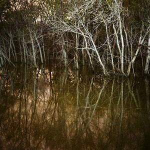 Dornith Doherty News: PRESS RELEASE: Dornith Doherty - Deluge at Holly Johnson Gallery, August  2, 2018 - Holly Johnson Gallery