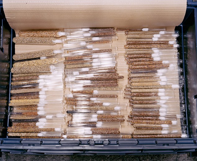 Dornith Doherty News: PRESS RELEASE: Dornith Doherty in  "Big Botany", March 26, 2018 - Spencer Museum of Art at The University of Kansas