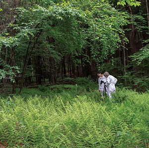 Dornith Doherty News: ARTICLE: Dornith Doherty in PaperCity Magazine , July 20, 2018 - Catherine Anspon