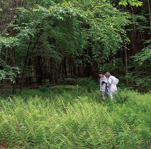 Dornith Doherty News: ARTICLE: Dornith Doherty in PaperCity Magazine , July 20, 2018 - Catherine Anspon