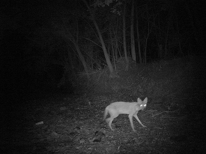 Dornith Doherty News: PODCAST: Dornith Doherty in Outside of New York - Episode 19, October 22, 2018 - Craig Gould