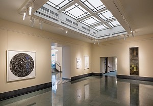 Dornith Doherty News:  Dornith Doherty: Archiving Eden exhibition and panel discussion, February 15, 2019 - National Academy of Sciences, Washington D.C.