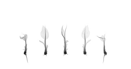 Dornith Doherty News: REVIEW: Dornith Doherty in The Washington Post, July  5, 2019 - Mark Jenkins