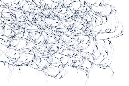 Dornith Doherty News: ARTICLE: Dornith Doherty in AtlasObscura, February 11, 2020 - Jessica Leigh Hester