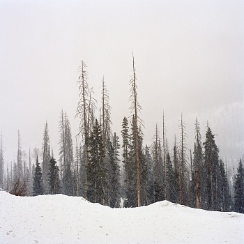 Exhibition: Holly Johnson Gallery at Culture Place / Dallas Art Fair,&nbsp;Misty Keasler