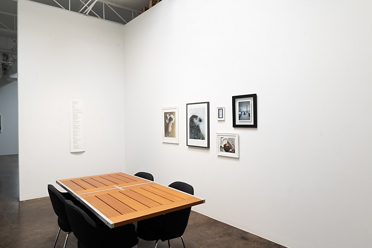 Misty Keasler: Sanctuary Dispatches  - Installation View