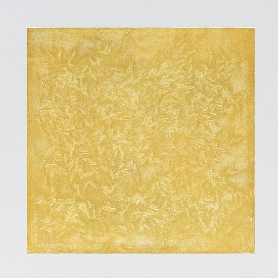 Joan Winter, Forest Floor - Late Summer, 2021
soft ground etching on BFK with chine colle, 24 x 24 in.
JWI-253