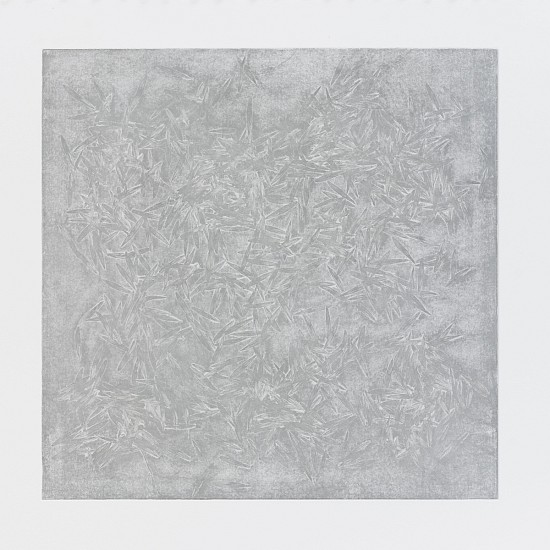 Joan Winter, Forest Floor - Reflection 2, 2021
soft ground etching with chine colle BFK paper, 24 x 24 in.
JWI-254