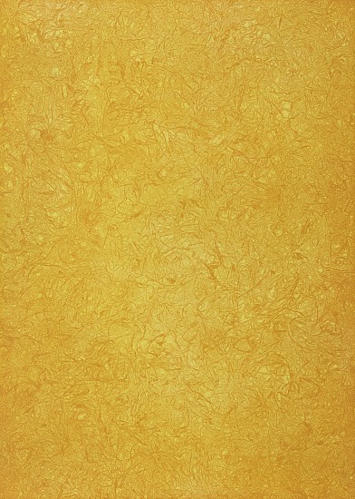 Joan Winter, Roots/Finding Light (Yellow), 2023
Soft ground and aguatint etching on BFK paper, Edition of 3, 36 x 28 in.
JWI-269