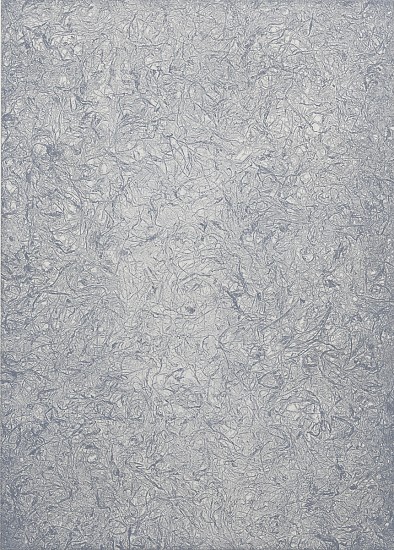 Joan Winter, Roots/Finding Light (Grey), 2023
Soft ground etching on BFK paper, 30 x 22 in.
JWI-272