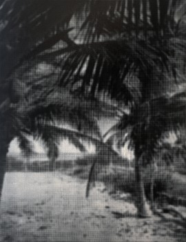 William Betts - Beach El Cuyo, Yucatan (out of focus)