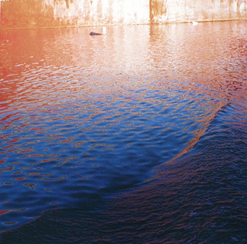 Casey Williams: New Work - Installation View