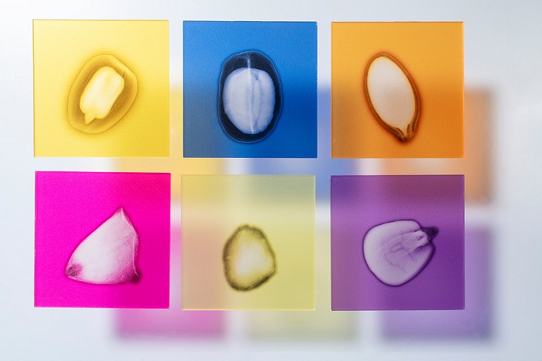 Dornith Doherty News: PRESS RELEASE: Dornith Doherty at The Los Angeles County Arboretum and Botanic Garden, September  9, 2024