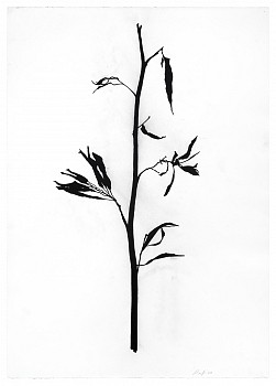 Randy Twaddle -&nbsp;Graft #5