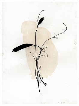Randy Twaddle -&nbsp;Arrangement #3