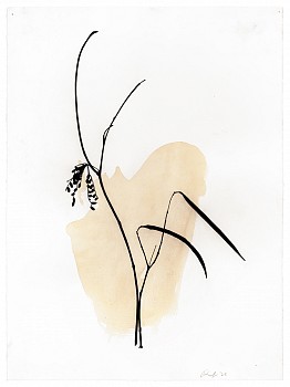Randy Twaddle -&nbsp;Arrangement #5
