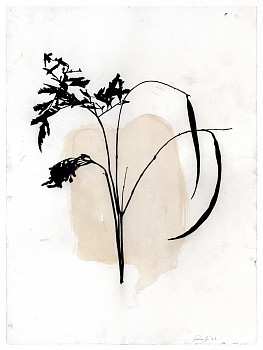 Randy Twaddle -&nbsp;Arrangement #6