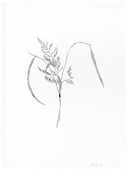 Randy Twaddle -&nbsp;Bouquet #2