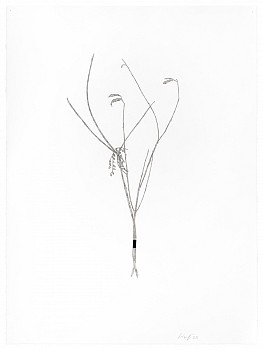 Randy Twaddle -&nbsp;Bouquet #5